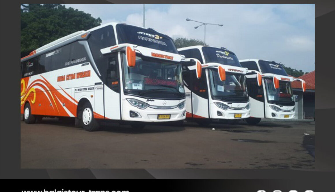 artikel balqis tour trans 1