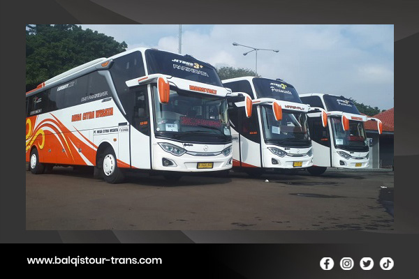 artikel balqis tour trans 1