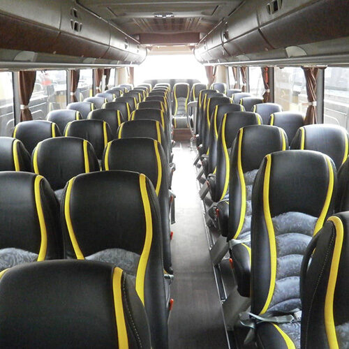 bee bus 1