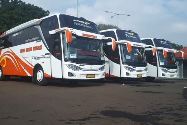 bus pariwisata 45 seat smoking toilet (3)
