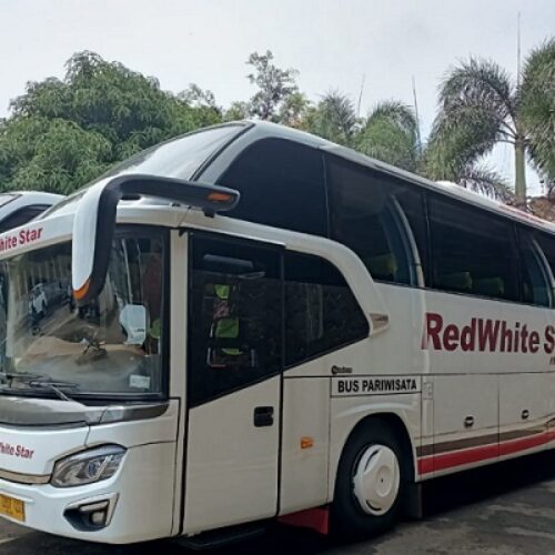 bus pariwisata 57 + 1 (1)