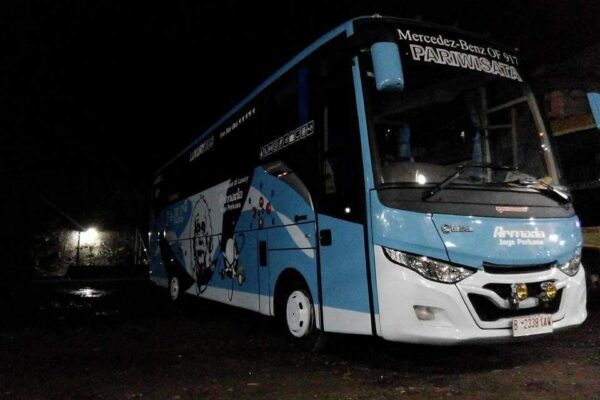 medium bus (3)